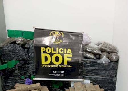 Maconha avaliada em R$ 350 mil é encontrada pelo DOF na área rural de Ponta Porã